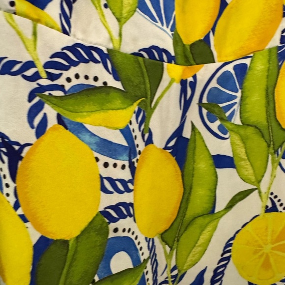 Kenny flowers Amalfi NWT-lemon print resort dress with elastic back - Picture 11 of 13